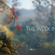 Illustration for article titled The Week In Games: Spinning A Yarny